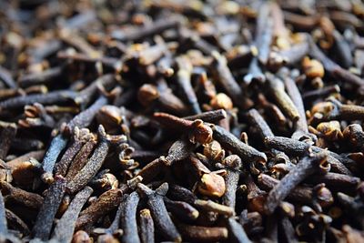 Full frame shot of cloves on table