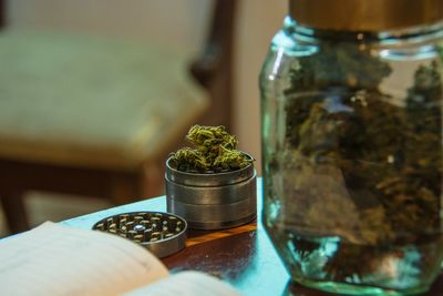 Close-up of potted plant on table