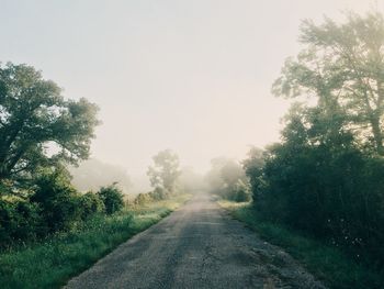 Road passing through trees