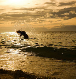 Silhouette person on beach against sky during sunset