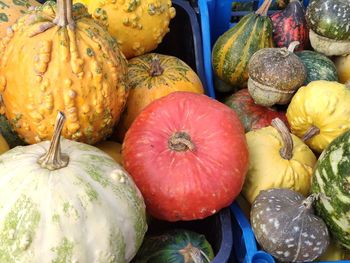 High angle view of pumpkins for sale in market