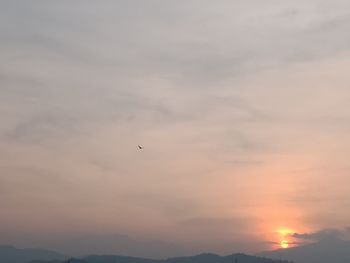 Low angle view of silhouette birds flying against sky