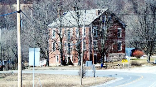 Bare trees along buildings