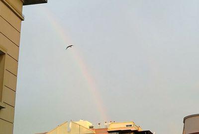 Low angle view of birds flying against sky