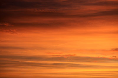 Low angle view of orange sky