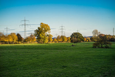 Trees on field against sky