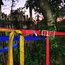 Multi colored flags hanging on tree trunk