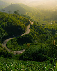 High angle view of road amidst landscape