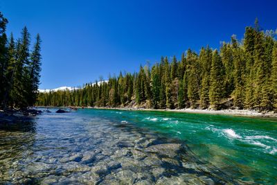 Kanas lake is a scenic lake with crystal-clear water and stunning scenery. 