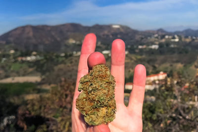 Close-up of hand holding marijuana against mountain