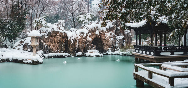 Scenic view of trees during winter