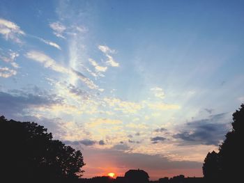 Silhouette of trees at sunset