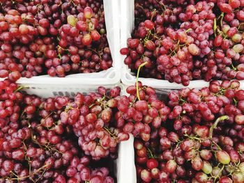 Red grape in market