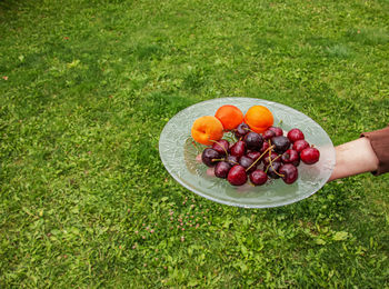 Close-up of grapes