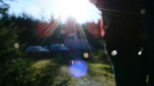 Defocused image of trees against sky