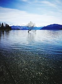 Scenic view of lake against sky during winter