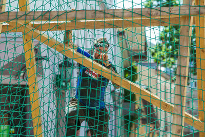 View of birds in cage