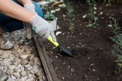 Low section of man gardening