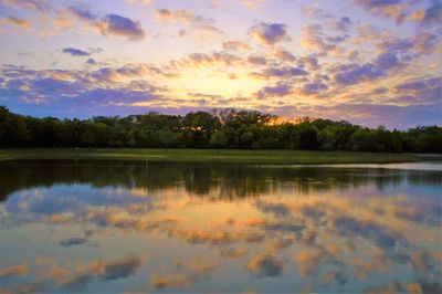 Reflection of trees in lake