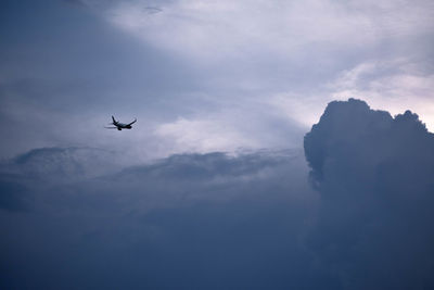 Low angle view of silhouette airplane flying in sky