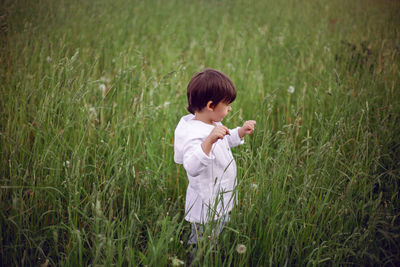 Boy child in a green field in summer in a white shirt with a hood made  linen in shorts and sandals