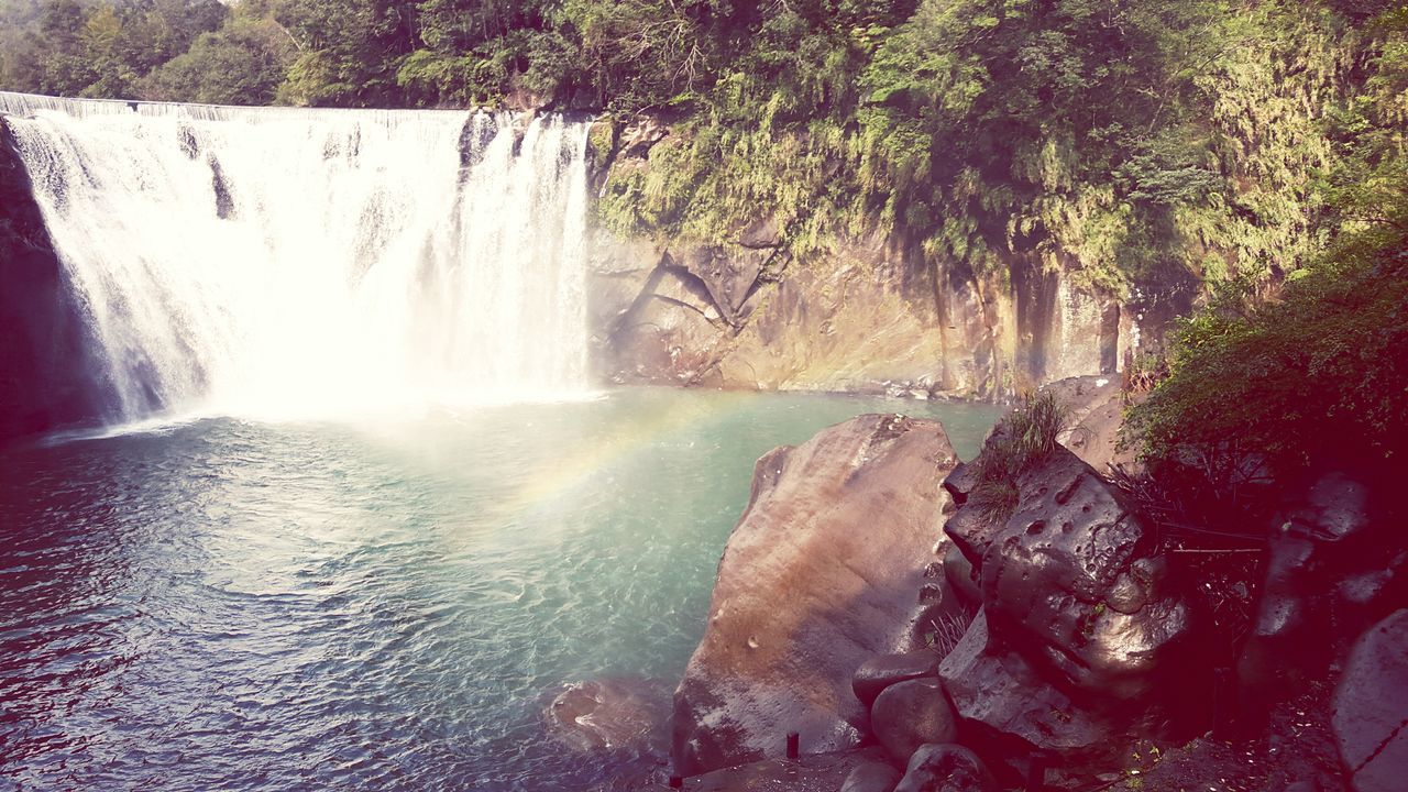 water, motion, flowing water, waterfall, flowing, splashing, tree, nature, beauty in nature, long exposure, rock - object, scenics, surf, day, outdoors, waterfront, wet, tranquility, forest, no people