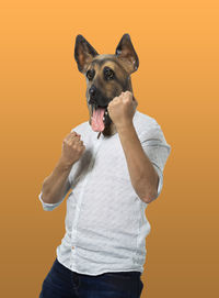 Portrait of dog standing against orange background