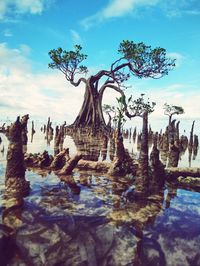 View of bare trees against cloudy sky