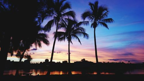 Silhouette trees against sky during sunset