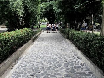 People walking in park