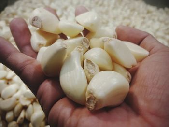 Close-up of hand holding eggs