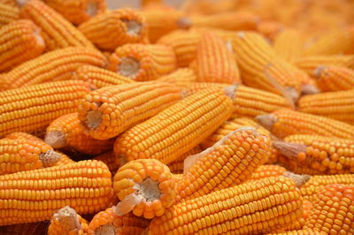 Full frame shot of sweetcorns for sale at market stall