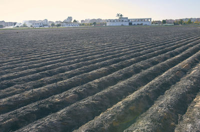 Scenic view of farm against sky