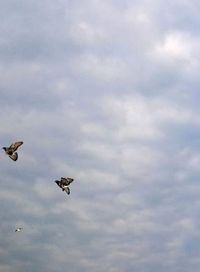 Low angle view of bird flying against cloudy sky