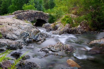 Scenic view of waterfall in forest