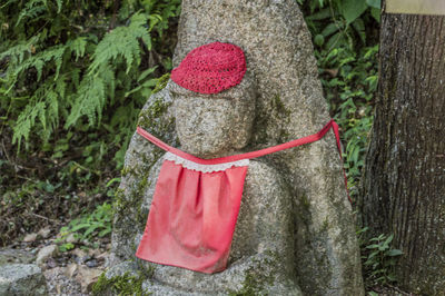 Red berries on tree trunk in forest