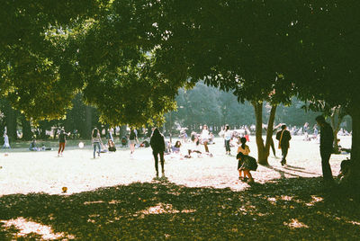 People enjoying on field