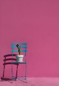 Potted plant on chair against wall