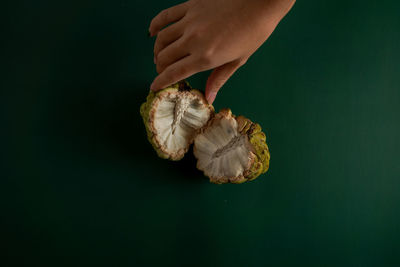 Close-up of hand holding leaf over white background