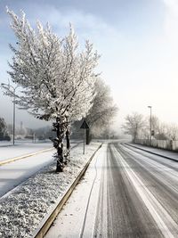 Snow covered road amidst bare trees against sky