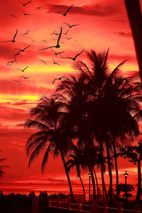 Silhouette palm trees against sky during sunset