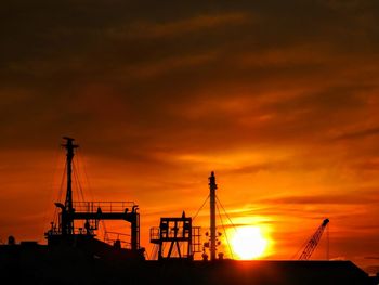 Silhouette of cranes at sunset