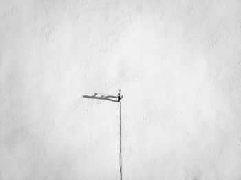 Low angle view of helicopter on wall