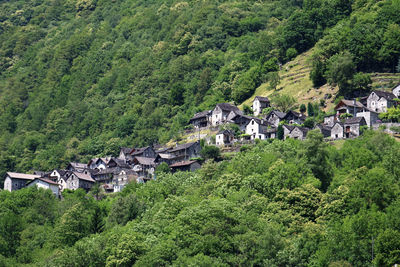High angle view of houses amidst trees