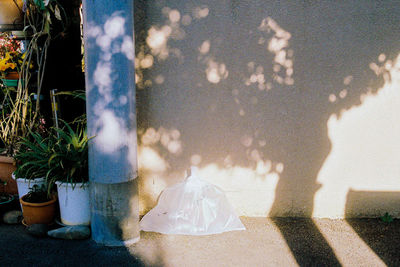 Shadow of people on white wall