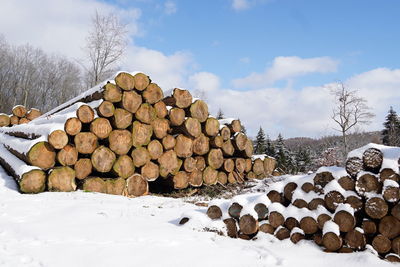 Stack of logs in snow