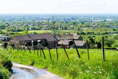 Scenic view of farm and buildings against sky