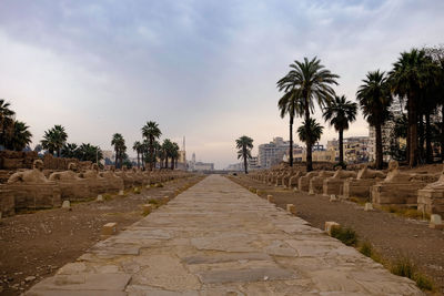 Avenue at temple of karnak in luxor egypt