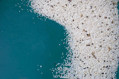 High angle view of drinking water in swimming pool