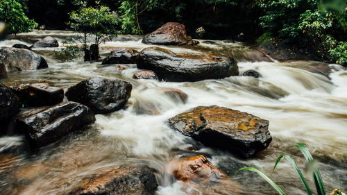 Stream flowing through rocks in forest